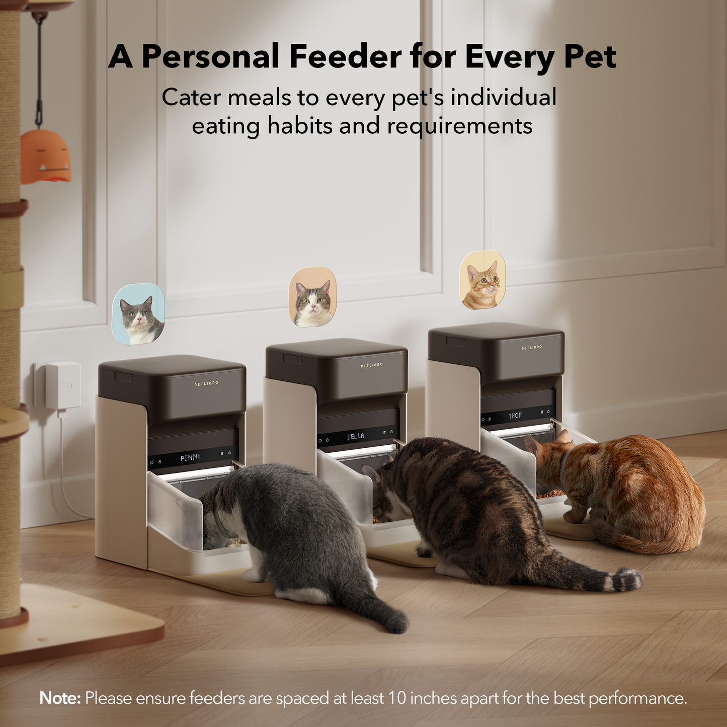 One RFID Smart Feeder & Petlibro Tote Bag