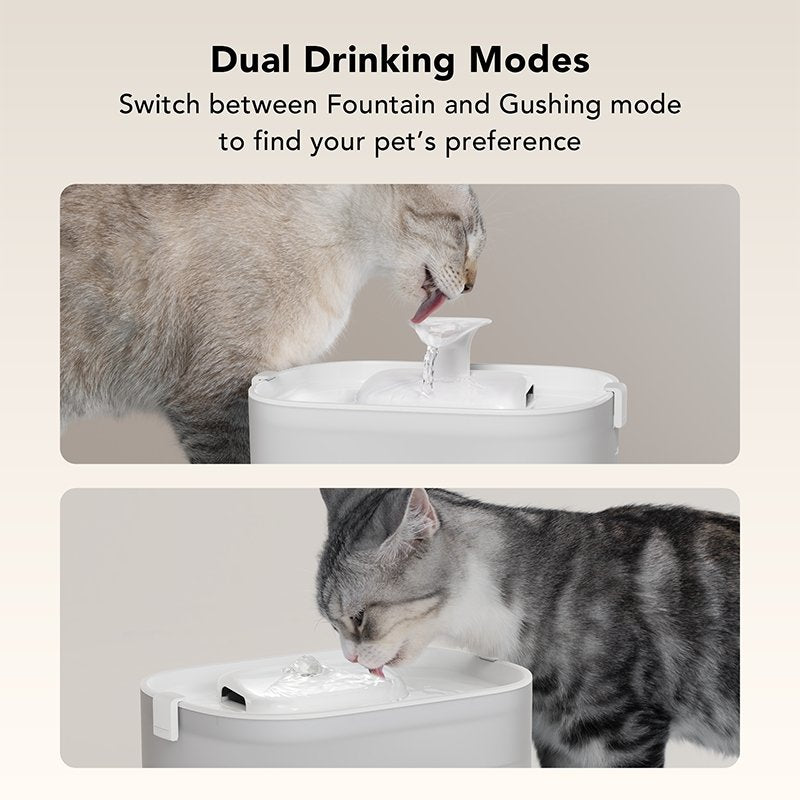 Camera Monitoring Feeder & Wireless Pump Fountain Kit