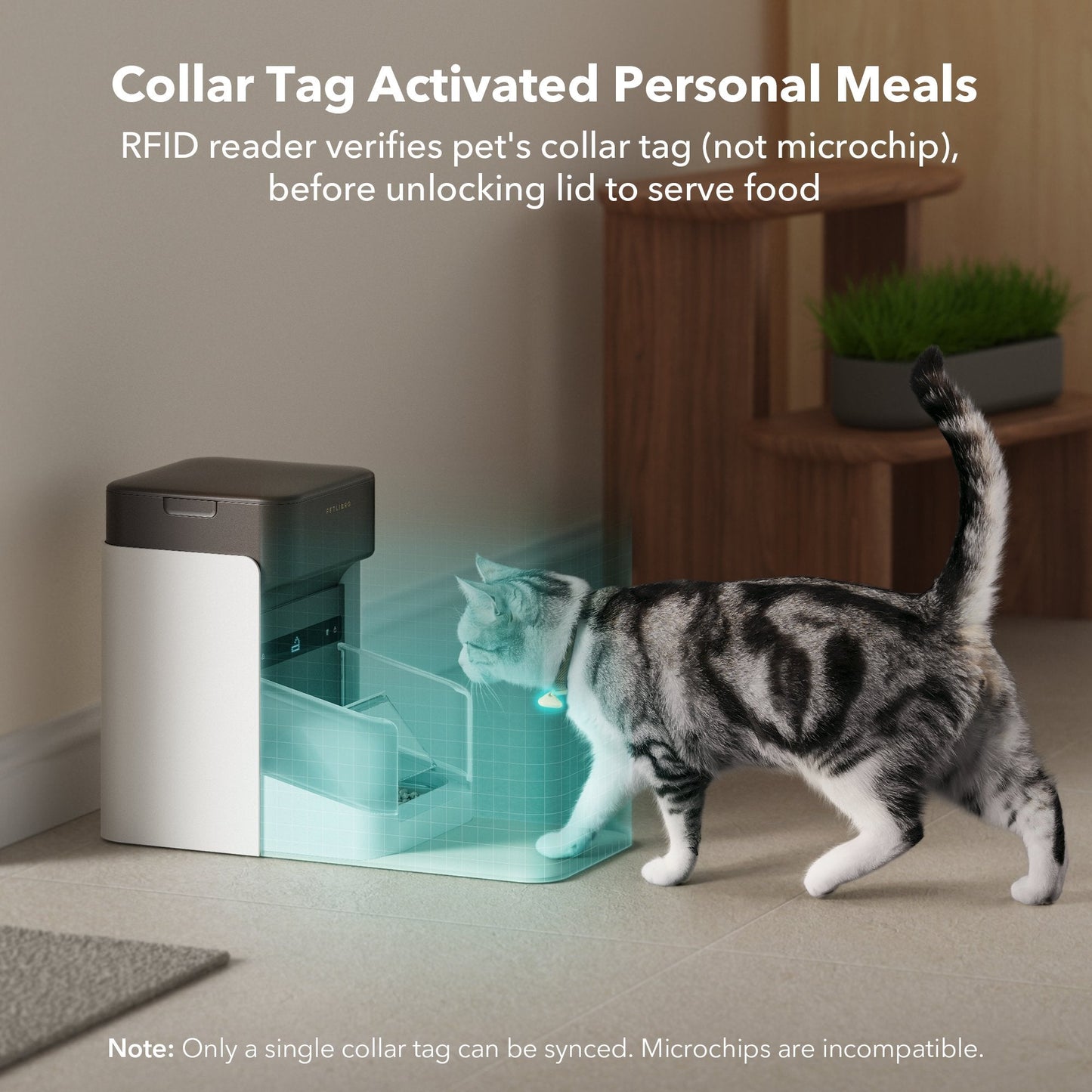 One RFID Smart Feeder & Petlibro Tote Bag