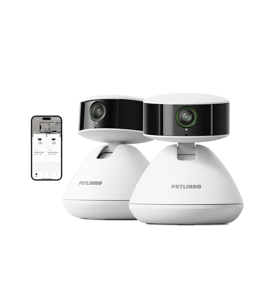 Scout Smart Camera